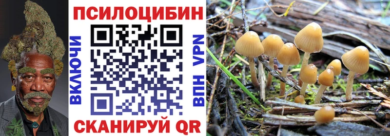 Галлюциногенные грибы GOLDEN TEACHER  Купить закладки  Касимов 