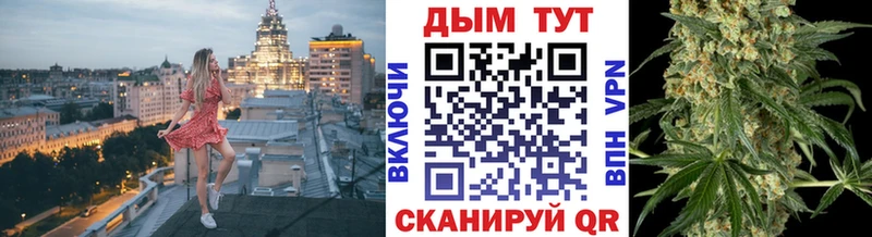 Конопля Bruce Banner  Купить  Касимов 